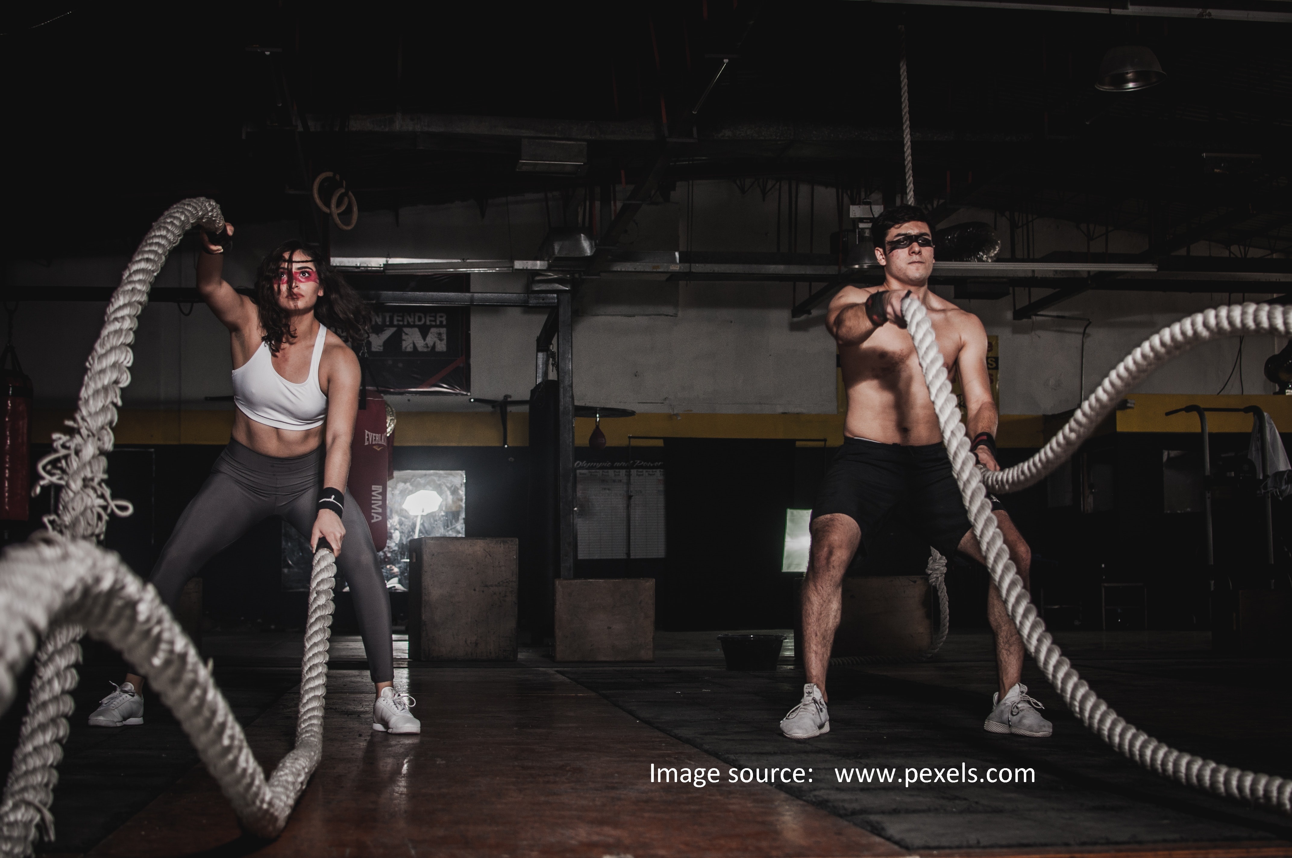 Total Gym 1000